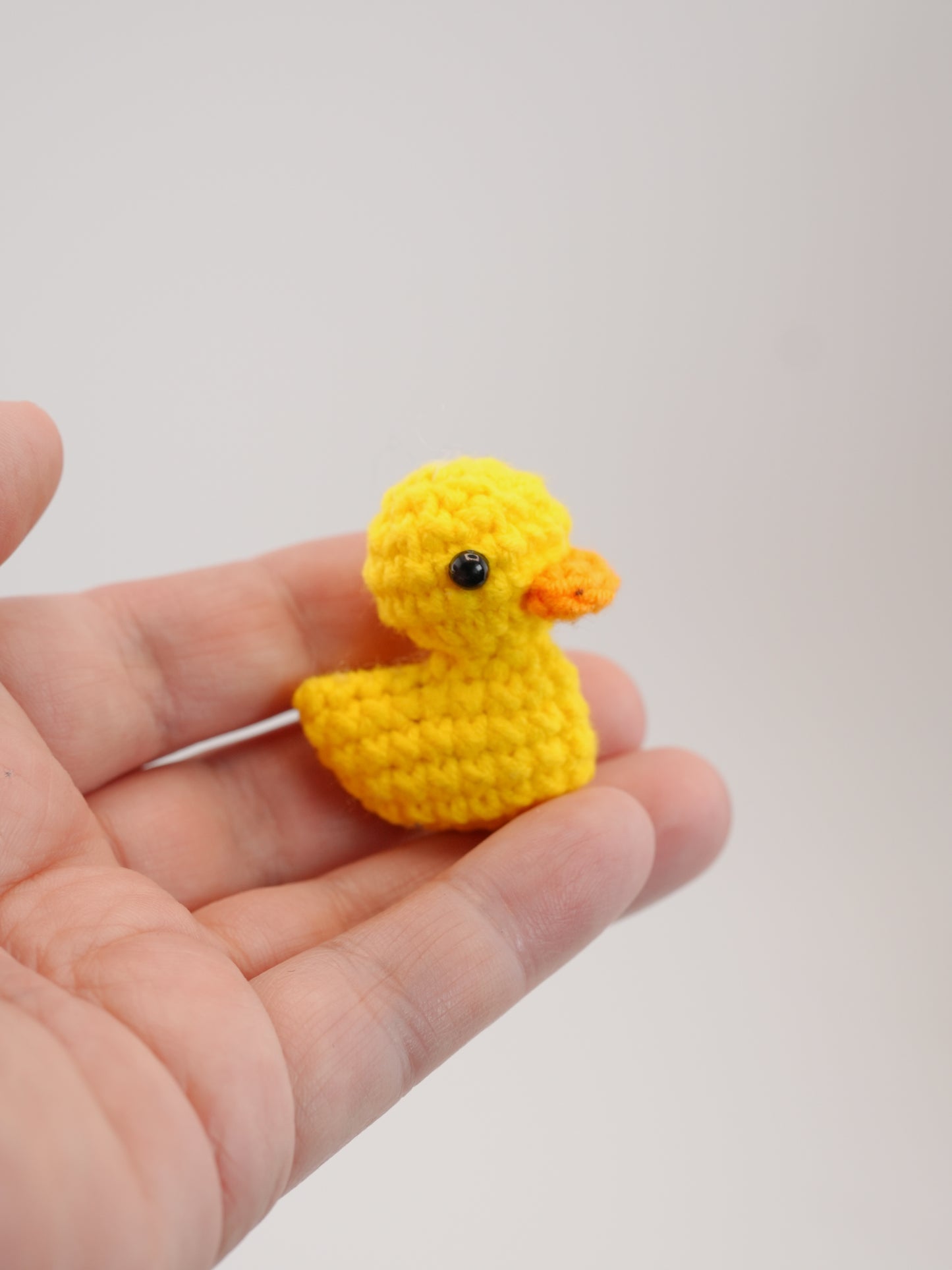 Mini duck 🐤