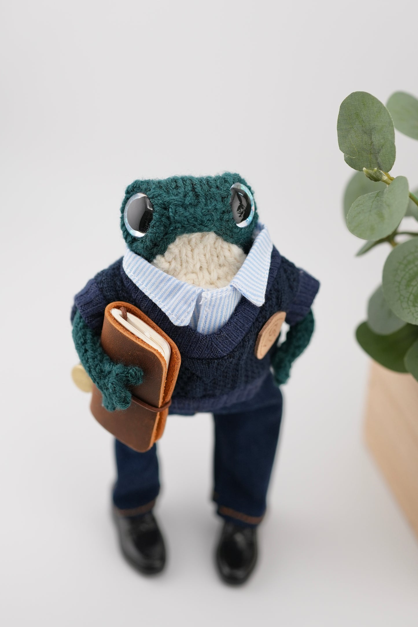 Professor Fernwick