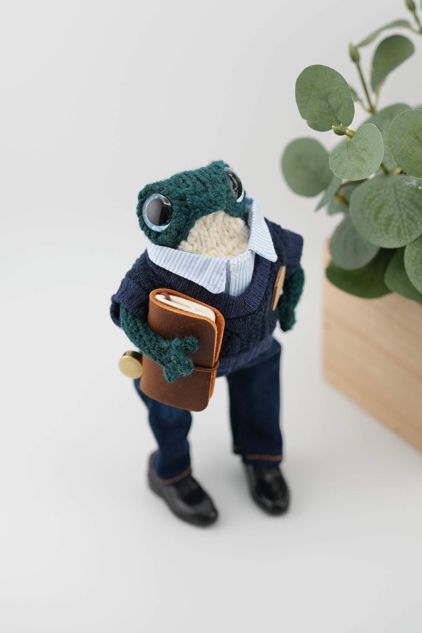 Professor Fernwick