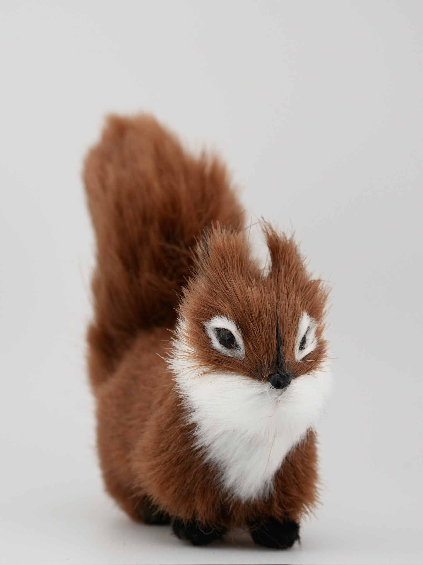 Little Squirrel โ A Woodland Friend for Your Frog ๐ฟ๏ธ