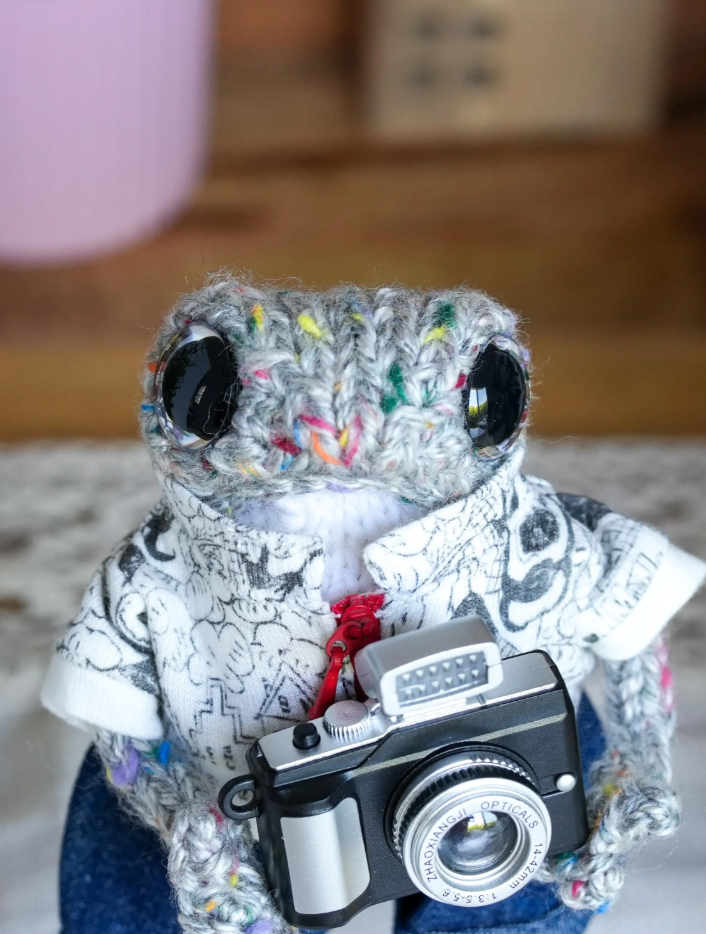 Mr. Finn Snapper