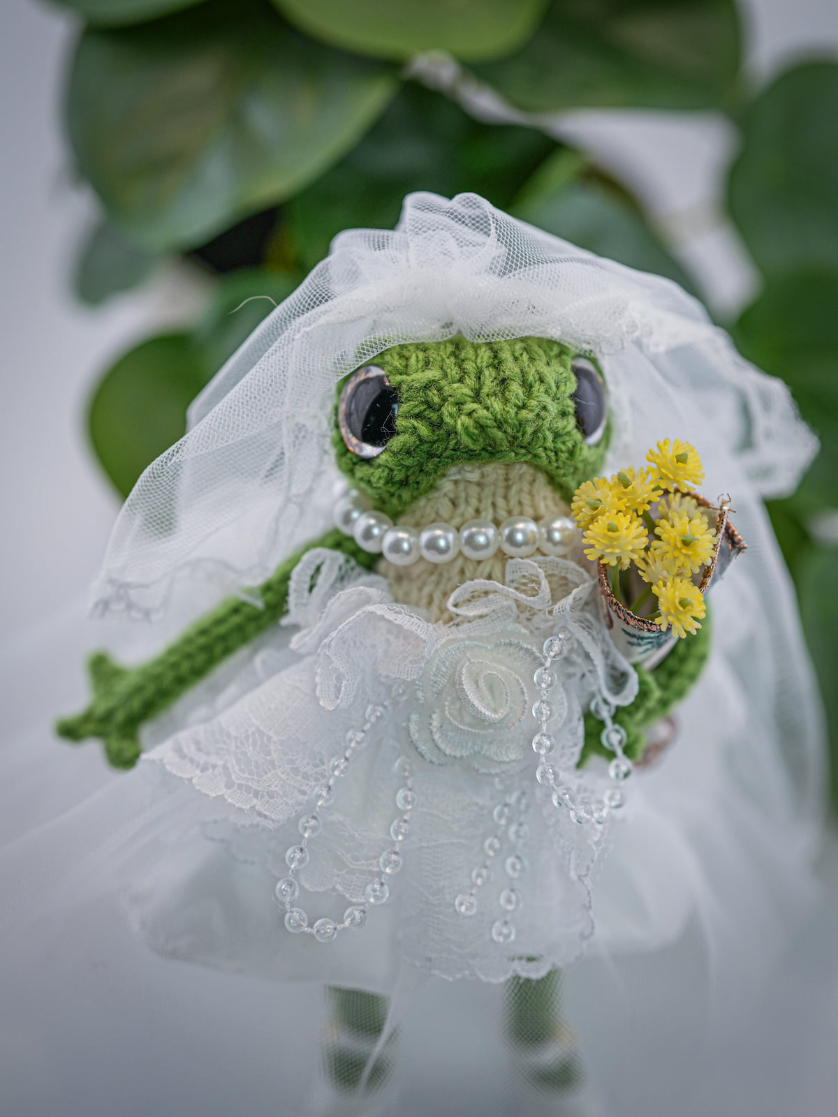 Clementine Dewdrop