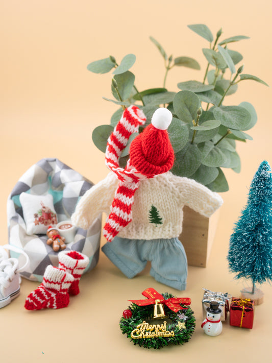 Outfit for a Knitted Frog.