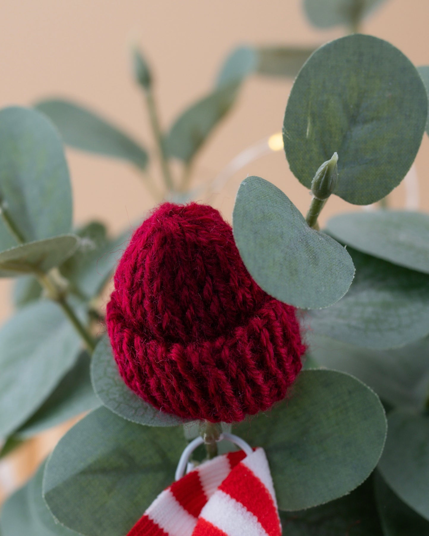 Outfit for a Knitted Frog.