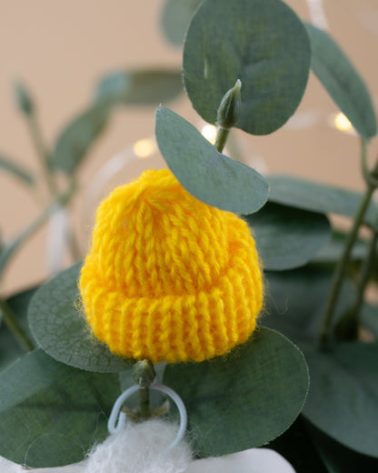 Outfit for a Knitted Frog.