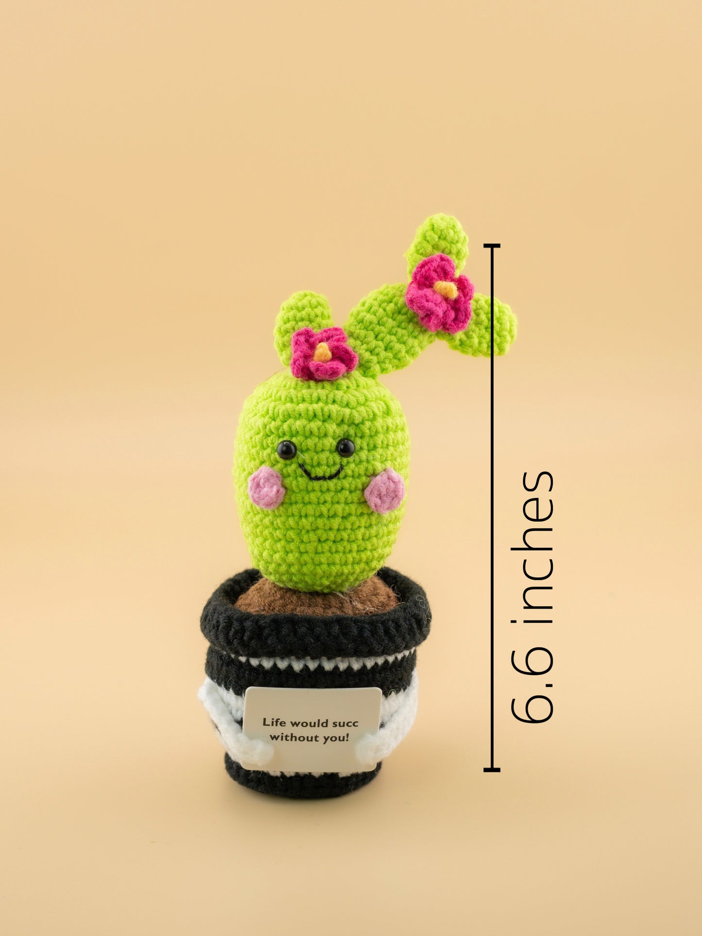 🌵 Crochet Cactus Plush
