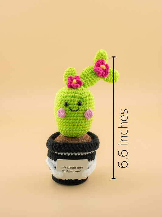 🌵 Crochet Cactus Plush