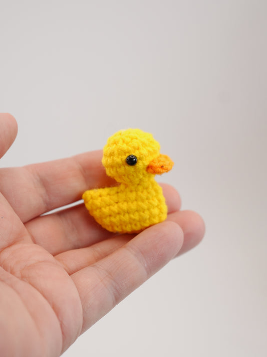 Mini duck 🐤