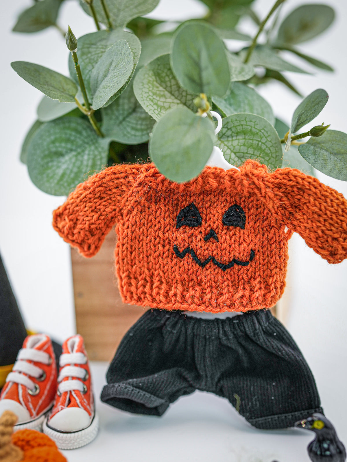 Outfit for a Knitted Frog.