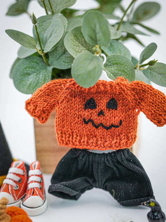 Outfit for a Knitted Frog.