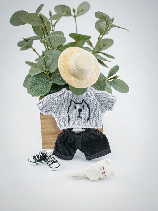 Outfit for a Knitted Frog.