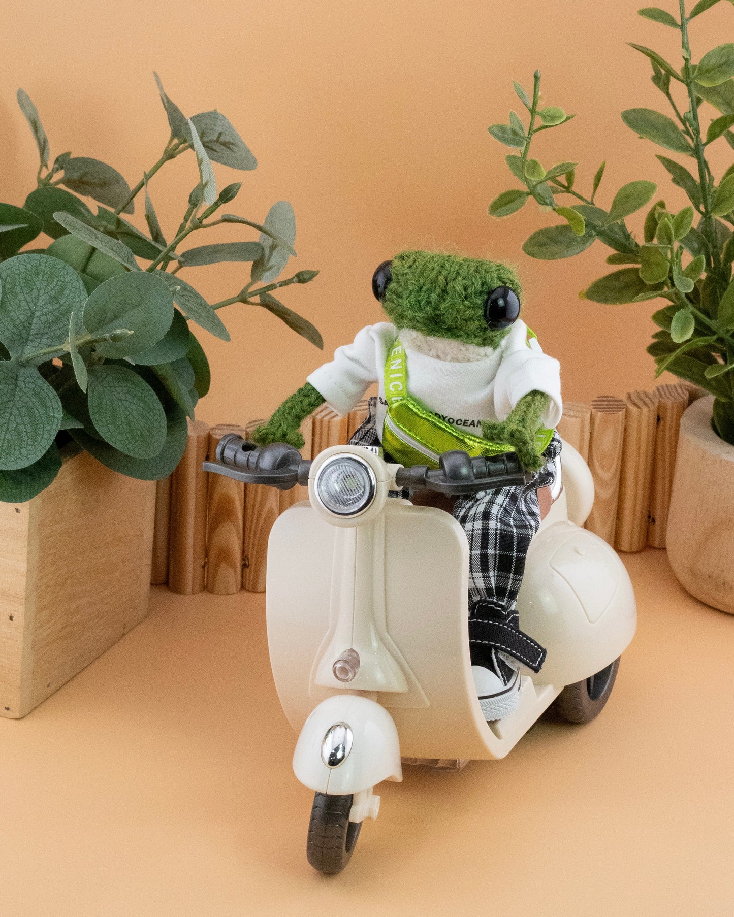 Felix Crossley 🛵