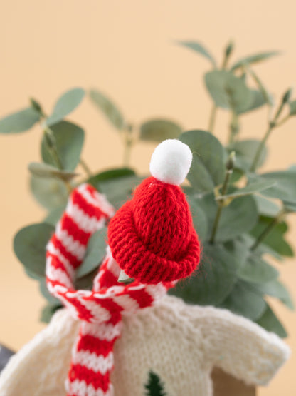 Outfit for a Knitted Frog.