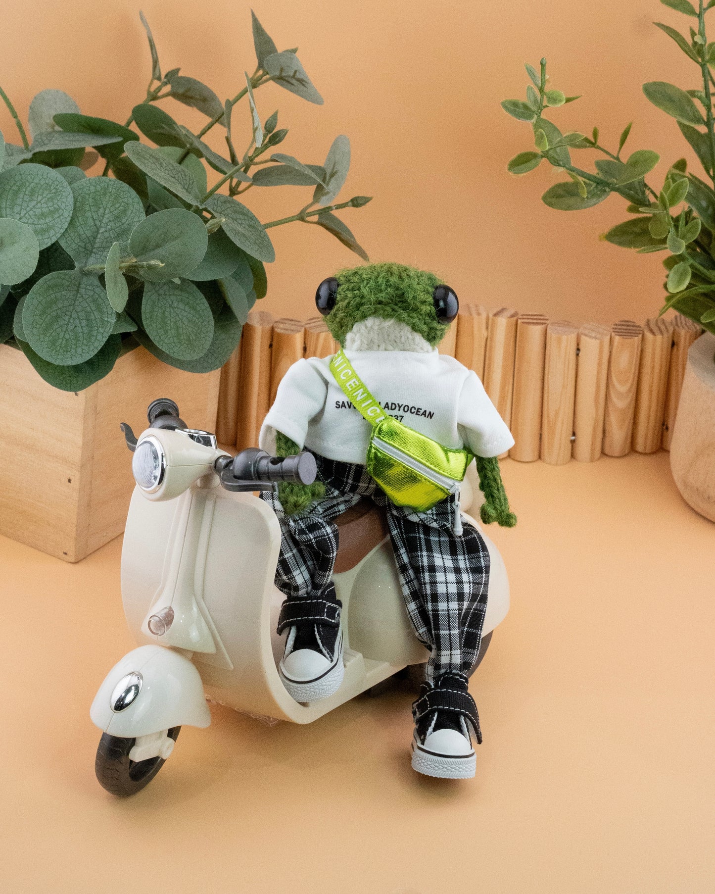 Felix Crossley 🛵
