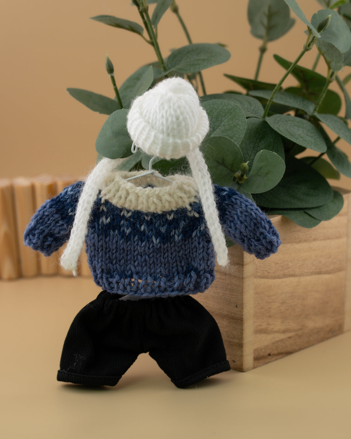 Outfit for a Frog
